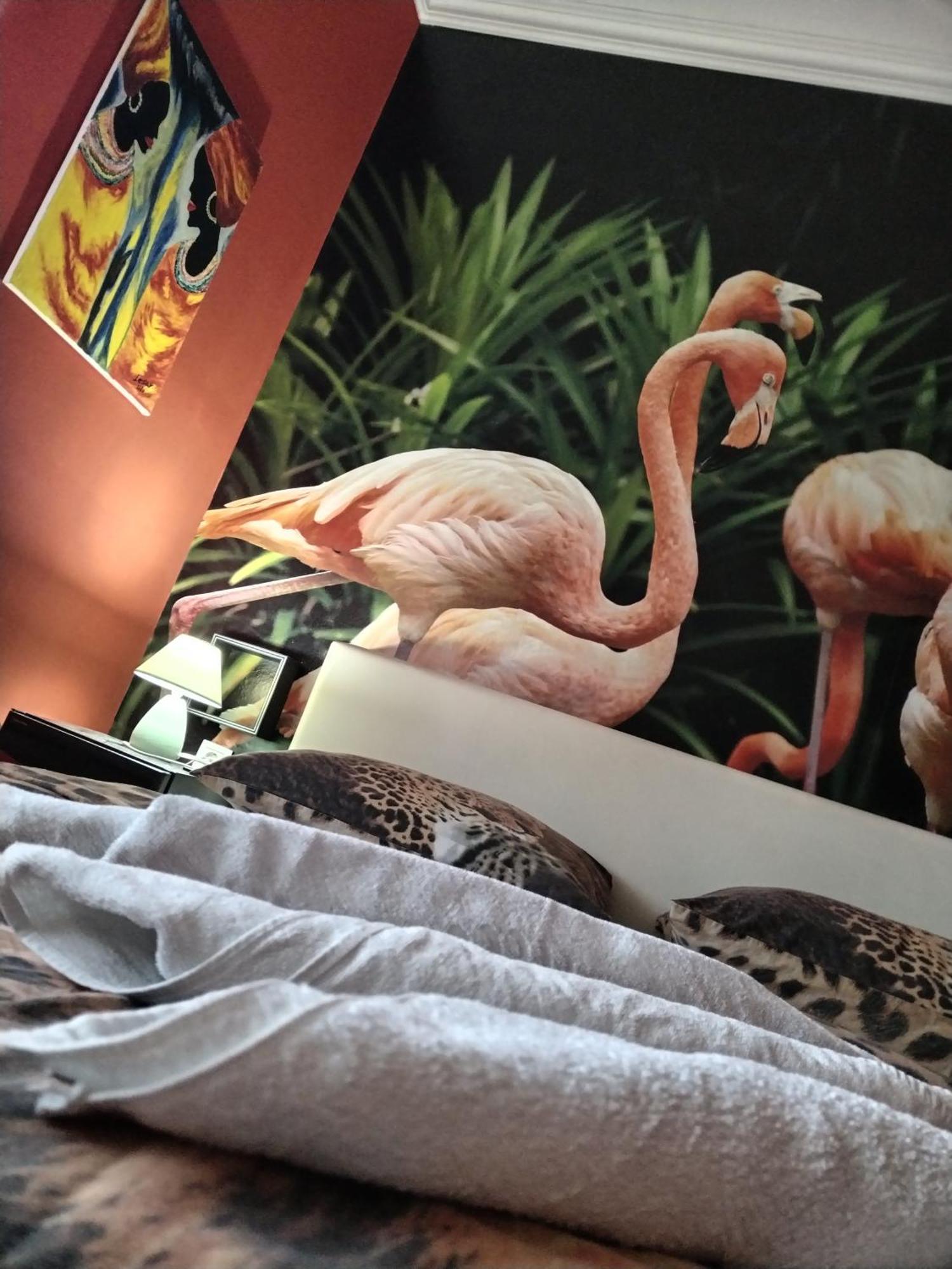 Flamingos Apartman & Fitness Centar Osijek - Blizina Bolnice Kbc Osijek Ngoại thất bức ảnh