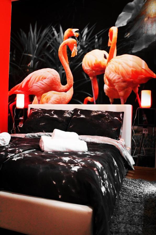 Flamingos Apartman & Fitness Centar Osijek - Blizina Bolnice Kbc Osijek Ngoại thất bức ảnh